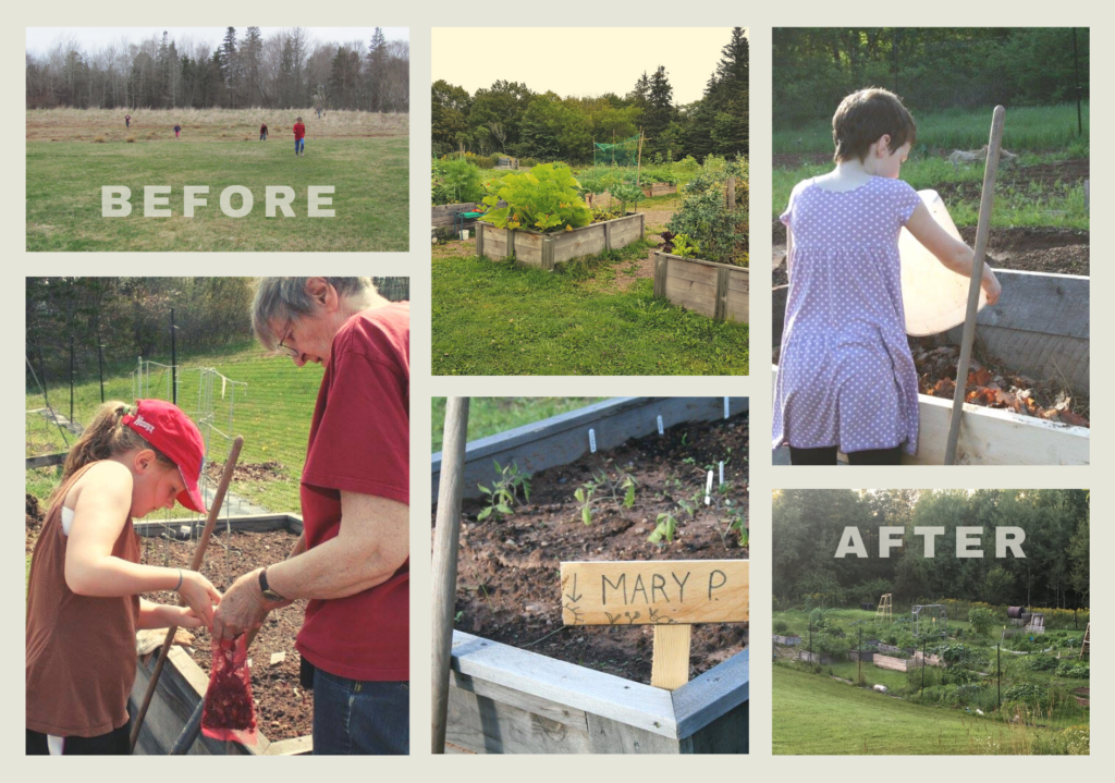 Glenwood Community Garden Photo collage EDIT (March 2022)